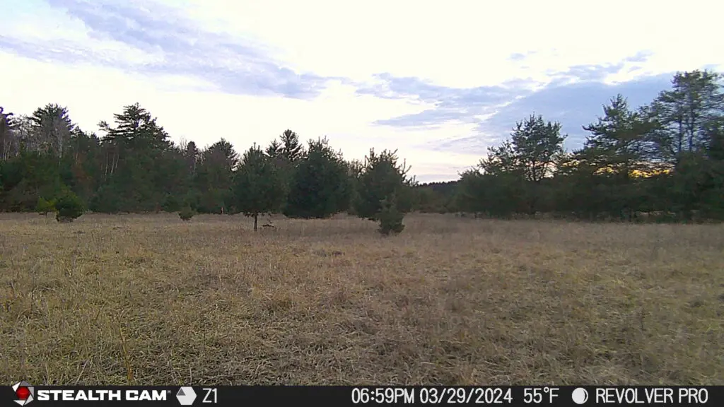 Trail Camera[mp:05][tp:055f][imei:867490072847937][zone:1]